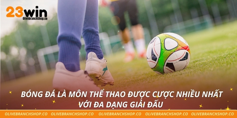 Bóng đá là môn thể thao được cược nhiều nhất với đa dạng giải đấu