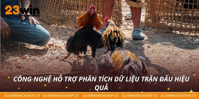 Luật Đá Gà Minh Bạch Cho Trải Nghiệm Cá Cược Công Bằng Công nghệ hỗ trợ phân tích dữ liệu trận đấu hiệu quả