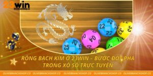 Rồng Bạch Kim Ở 23win – Bước Đột Phá Trong Xổ Số Trực Tuyến